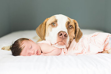 LORA + TED - Denver Newborn Photographers